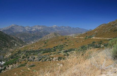 San Bernardino National Forest