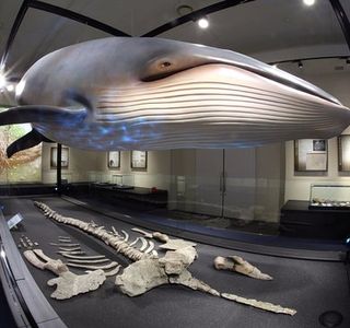 Kuchiwa Local Museum