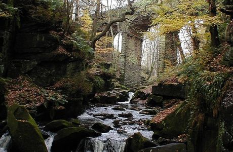 Healey Dell Nature Reserve