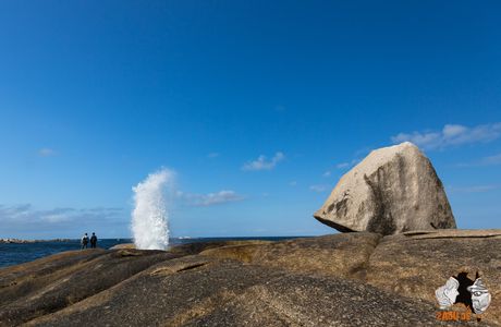 Bicheno Blowhole