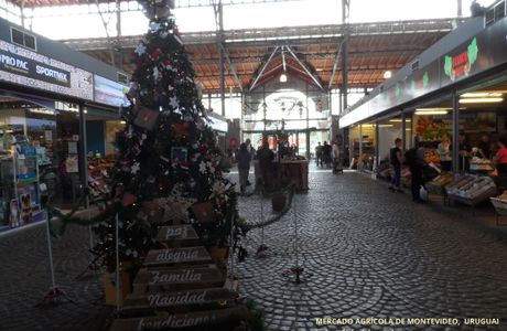 Mercado Agricola Montevideo - MAM