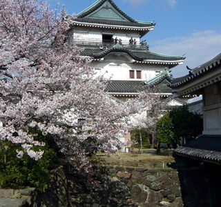 Wakayama Castle
