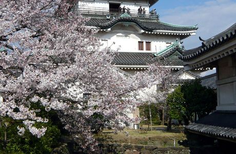 Wakayama Castle