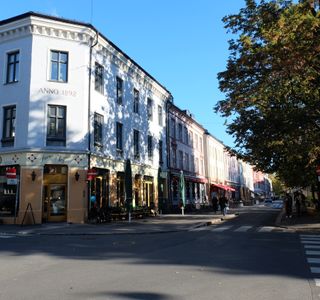 Grunerlokka