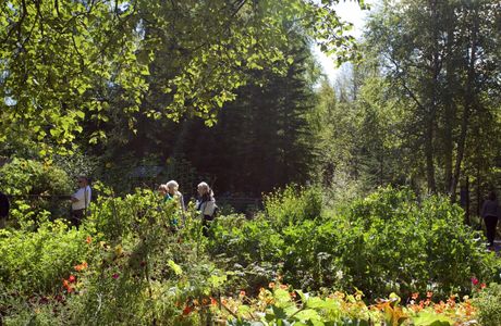 Alaska Botanical Garden