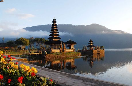 Asafi Bali Tour