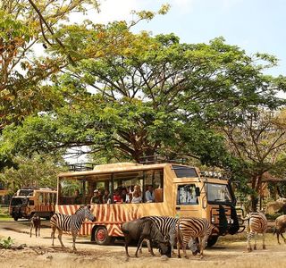 Bali Safari & Marine Park