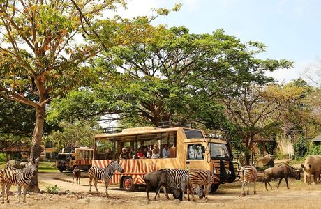 Bali Safari & Marine Park