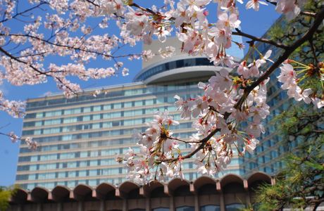 Hotel New Otani Japanese Garden