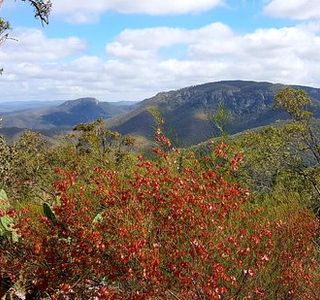 Kroombit Tops National Park