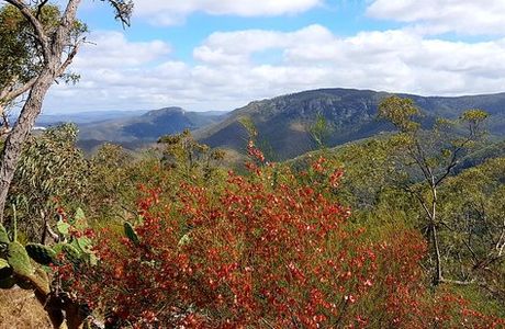 Kroombit Tops National Park