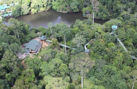 Sandakan Rainforest Discovery Centre (RDC)