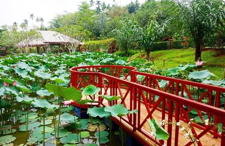The Le Hu Garden