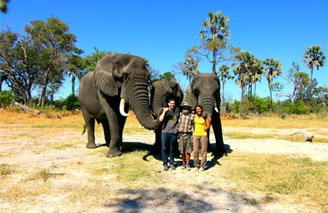 Luangprabang Elephant Camp