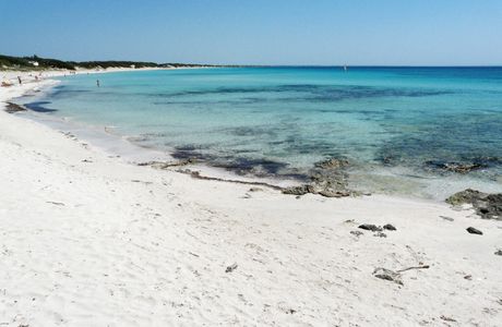 Punta Prosciutto