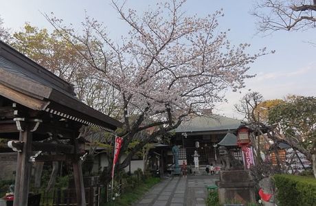 Daito-ji Temple