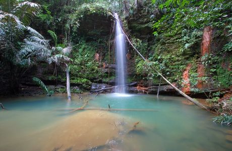 Lambir Hills National Park