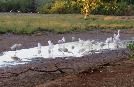 Riparian Preserve at Water Ranch