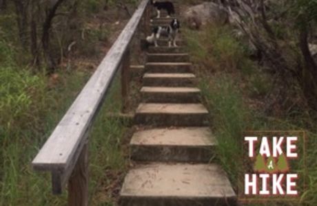 Cape Edgecumbe Walking Trail