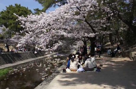 Shukugawa Park