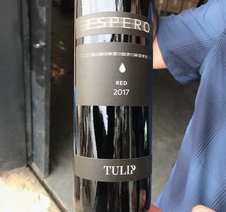 Tulip Winery