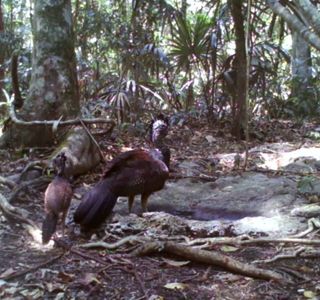 Estación Biológica Agualí
