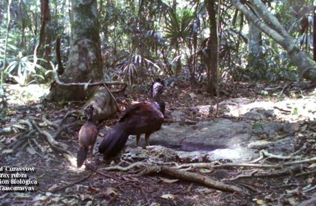 Estación Biológica Agualí