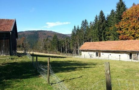 Finsterau Freilichtmuseum