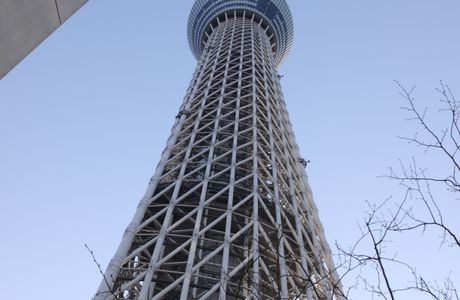 Ninjin Observation Tower