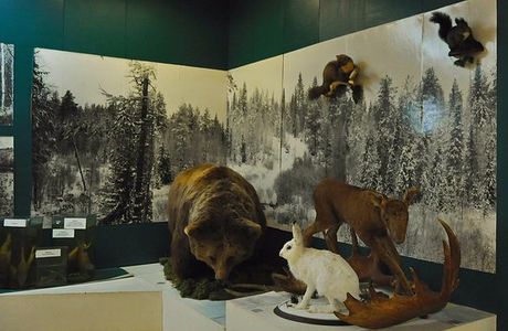 Museum of the Settlers of ХХ Century