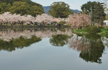 Ogi Park