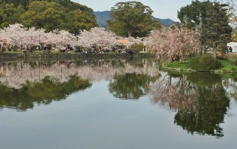 Ogi Park 1