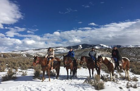 Triple G Outfitters