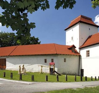 Slezskoostravský hrad