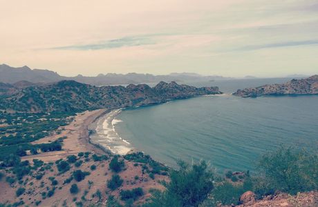 Sea of Cortez