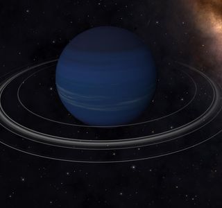 Neptunus