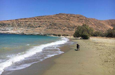 Sykamia Beach