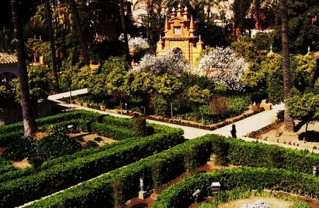 Jardines de los Reales Alcazares
