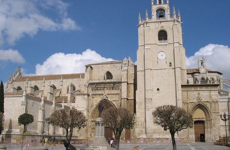Catedral de Palencia