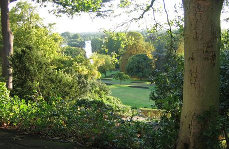Terrace Gardens- Richmond Hill