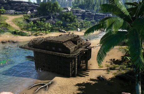 The Ark