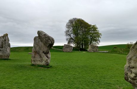Elements of Avebury