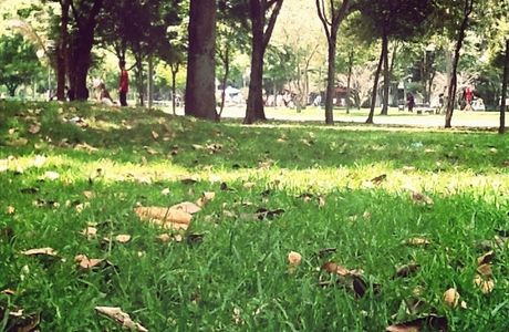 Parque El Virrey