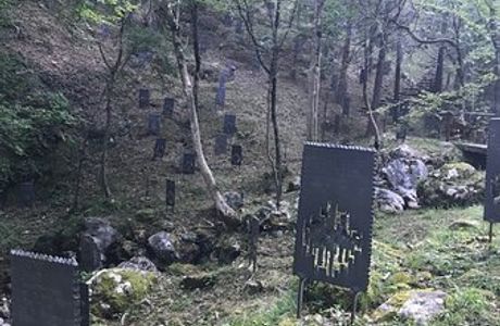 Bosco delle Penne Mozze