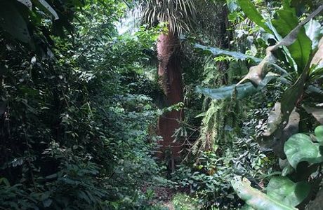LUFASI Nature Park