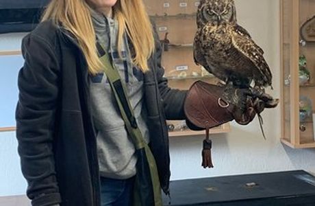 Haven Falconry