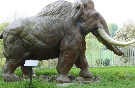 Museum MONREPOS