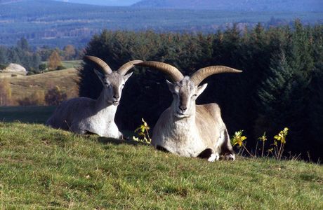 Himalayan Nature Park