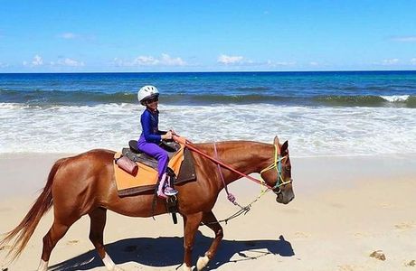 Rainbow Beach Horse Rides