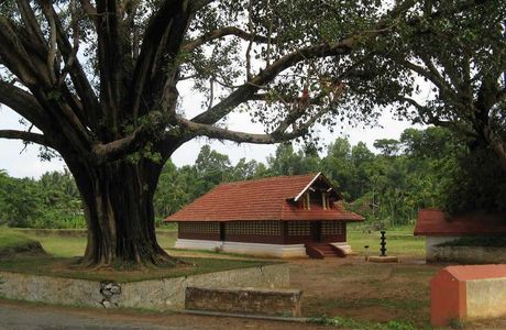 Areekkavu Bhagavathy Temple